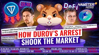 Durov’s €5m bail and ongoing investigation shakes TON Buterin under fire ⚡️ Hamster News [upl. by Ilario754]