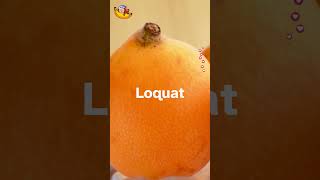 LOQUAT 3 benefits of LOQUAT short fruit viralvideo [upl. by Ennasil]