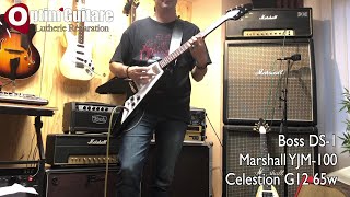 Tokaï VS Gibson Flying V Comparison HD [upl. by Rausch]