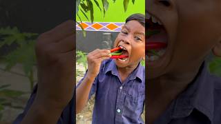 Green Chili Eating Mukbang EatingShow BigBites shortsfeed [upl. by Adile]