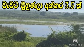 වැවට මුහුණලා අක්කර 35 ක් අඩුවට Hambanthota LandAduwata LandLake viwe landpodimalli [upl. by Emina]