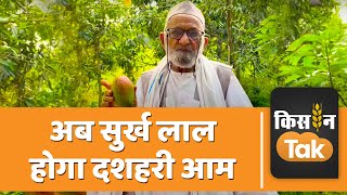 अब हरे रंग की नहीं बल्कि सुर्ख लाल रंग में दिखेगा Dasheri Mango नई किस्म हुई विकसित  Kisan Tak [upl. by Narrad953]