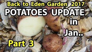 Back to Eden Organic Gardening Method 101 Soil Improvement with Wood Chips Garden Series Part 3 [upl. by Elgna]