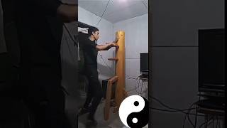 Entrenamiento con muñeco de madera☯️🐉 jeetkunedo defensapersonal kungfu kungfuargentina [upl. by Anole]