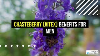 Chasteberry Vitex benefits for men [upl. by Porcia]