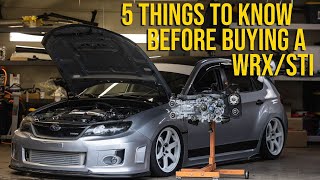 5 Things You Need to Know Before Buying a Subaru WRX or STI [upl. by Nwadrebma]