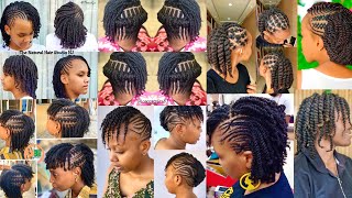 Natural Hair Twist Styles  Twist Hairstyles for Natural [upl. by Aihc]