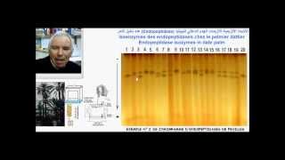 Endopeptidases et étude de la diversité génétique du palmier dattier  تنوع النخيل [upl. by Eissed]