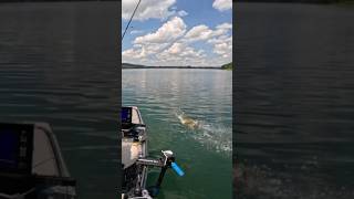 This Bass JUMPED Into My Kayak [upl. by Revell]