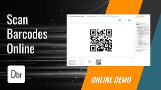 Online Barcode and QR Code Scanning with Dynamsoft Barcode Reader  Online Demo [upl. by Jack]