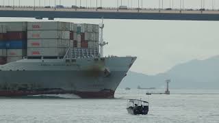 Container Ship《OOCL CHARLESTON》穿越青馬橋 20240920 P326049500 00 02 [upl. by Akcirahs]