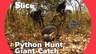 The Hunt for the Giant Python Successful Catch with the Help of Elder Magicians  SLICE [upl. by Baecher]