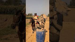 The Police Men Vs Statue 🗿😅 Wait wait trending comedy viral [upl. by Odlareg]