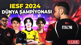 IESF 2024 DÜNYA ŞAMPİYONASI  Grup Maçları  Mobile Legends Bang Bang [upl. by Mada]