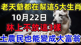 不得了啦！老天爺都在幫這5大生肖！10月22日，生肖鼠、馬、雞、狗、豬牀上不放這3樣，財運會自己來找你！家裏有一位的注意了！佛教 老人言 生肖財運 [upl. by Ayoral]