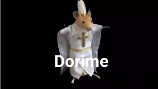 DORIME BREGA FUNK [upl. by Ervine]