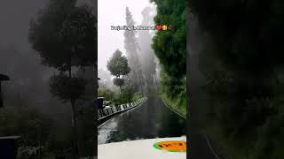 Darjeeling in monsoon🥰 mountainview nature darjeeling shortvideo [upl. by Darleen]