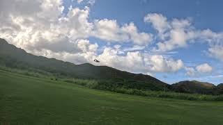 Avios bushmule test flight after nose gear fix [upl. by Elkin]