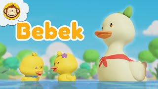 Lima Ekor Bebek 🦆 Menghitung Bebek  Lagu Anak Indonesia  BaLiTa babalilitata bebek [upl. by Aerdnac]