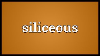 Siliceous Meaning [upl. by Concordia]