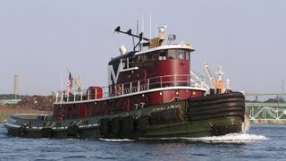 Little Hardhats quotBig Boats amp Busy Harborsquot Video Salt Cargo Ship Unloading Scene [upl. by Liva424]