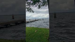 Frightening for Lake Monroe to Breach Seawall by Cabbage Palms amp Cypress Tree from Hurricane Milton [upl. by Anitnuahs]