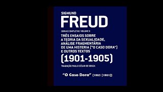 O Caso Dora Freud 1905 1901  Parte 1 prefácio e quadro clínico [upl. by Rodman]