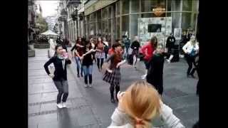 flamenco flashmob  belgrade  october 2014 [upl. by Mcbride]