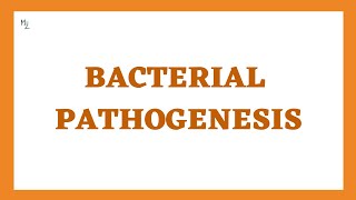 Bacterial Pathogenesis Stages Determinants and Virulence  This is How Bacteria Cause Damage [upl. by Nyrhtac597]