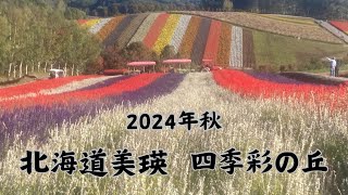 【北海道美瑛】四季彩の丘 2024年秋 北海道 美瑛 四季彩の丘 hokkaido biei [upl. by Wilfred893]