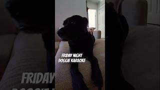 Its Friday Night Doggie Karaoke 🤣 shorts funny entertainment dogs karaoke [upl. by Iow508]