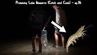 Prawning in lake illawarra Catch and Cook  ep16 [upl. by Dyraj]