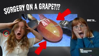 THEY DID SURGERY ON A GRAPE WARNING  CRAY CRAY [upl. by Nerek714]