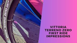 Vittoria Terreno Zero First Ride Impressions Review [upl. by Borlase237]