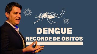 Dengue recorde de óbitos [upl. by Etolas]