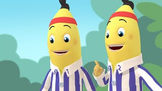 The Great Race  Bananas in Pyjamas Season 1  Full Episodes  Bananas In Pyjamas [upl. by Echikson841]