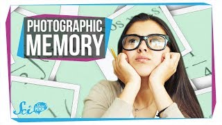 Does Photographic Memory Exist [upl. by Enitsirhc398]