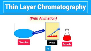 Thin Layer Chromatography  Animation [upl. by Annaed232]