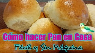 Cómo HACER PAN CASERO A MANO  PAN HECHO EN CASA SIN MÁQUINAS [upl. by Lennon603]