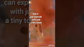 NI3 Explosion Nitrogen Triiodide Reacts shorts shortfeed youtubeshorts [upl. by Onida678]