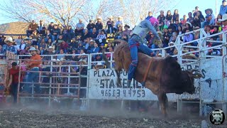 SUPER JARIPEO con los toros DIVINOS de Rancho los Laureles en San Pablo Pejo Guanajuato [upl. by Berky]