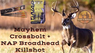 Mayhem Crossbolt and NAP Broadhead Crossbow Killshot  That’s Bucked Up [upl. by Tehc359]