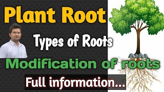 Biology for NEET  Plant Morphology  Plant Root  Types of roots Modifications of roots NEET ICAR [upl. by Chantal193]