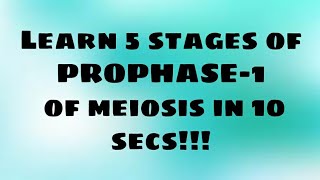 Learn 5 stages of PROPHASE 1 of meiosis in 10 secs  Short trick  Biology [upl. by Goto]