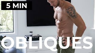 5 MIN OBLIQUES WORKOUT NO EQUIPMENT LOVE HANDLE WORKOUT [upl. by Leonor]