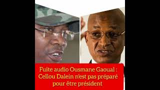 Fuite audio Ousmane Gaoual Diallo qui demande un changement de leadership à la tête de lUFDG [upl. by Eened]