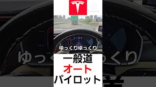 止まったかと思ったら走りだした テスラ 自動運転 オートパイロット レベル2 [upl. by Kreis]