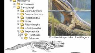 10th Foundational Falsehood of Creationism [upl. by Laemaj242]