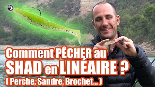 Comment pêcher au SHAD en LINEAIRE  perche sandre brochet [upl. by Hadnama577]