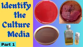 Culture Media  Classification uses and sterilization technique practical exam microbiology part 1 [upl. by Favianus]